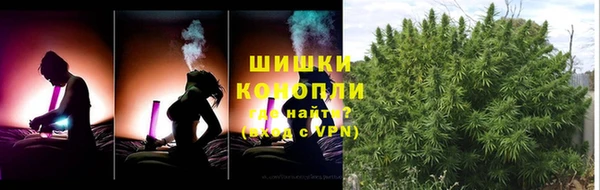 хмурый Богородск
