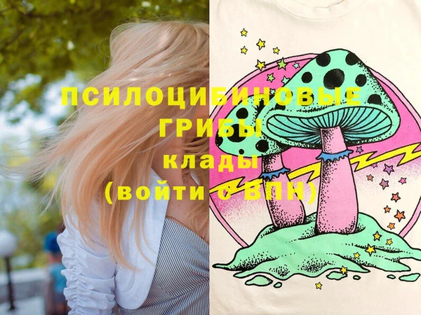 хмурый Богородск