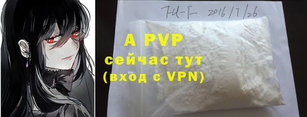 a pvp Бородино