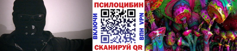 Псилоцибиновые грибы Psilocybe  купить закладку  Монино 